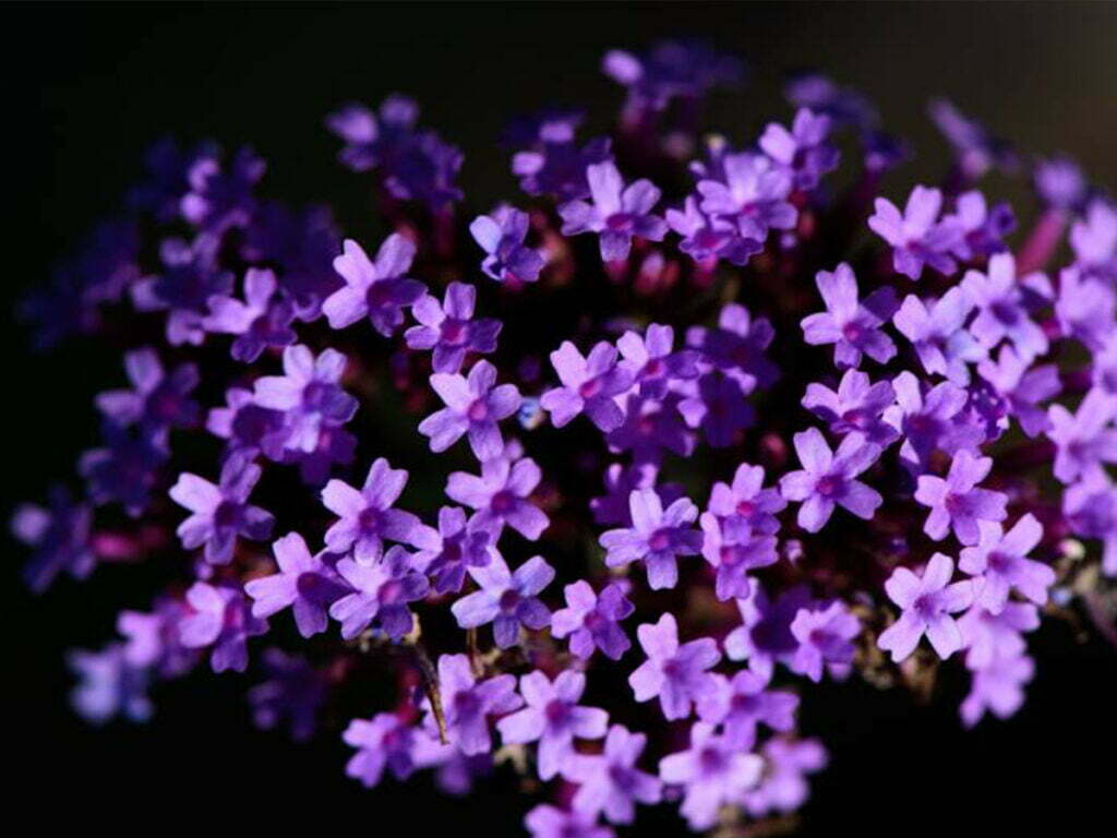 League City, TX 10 Garage Door Repair Houston TX