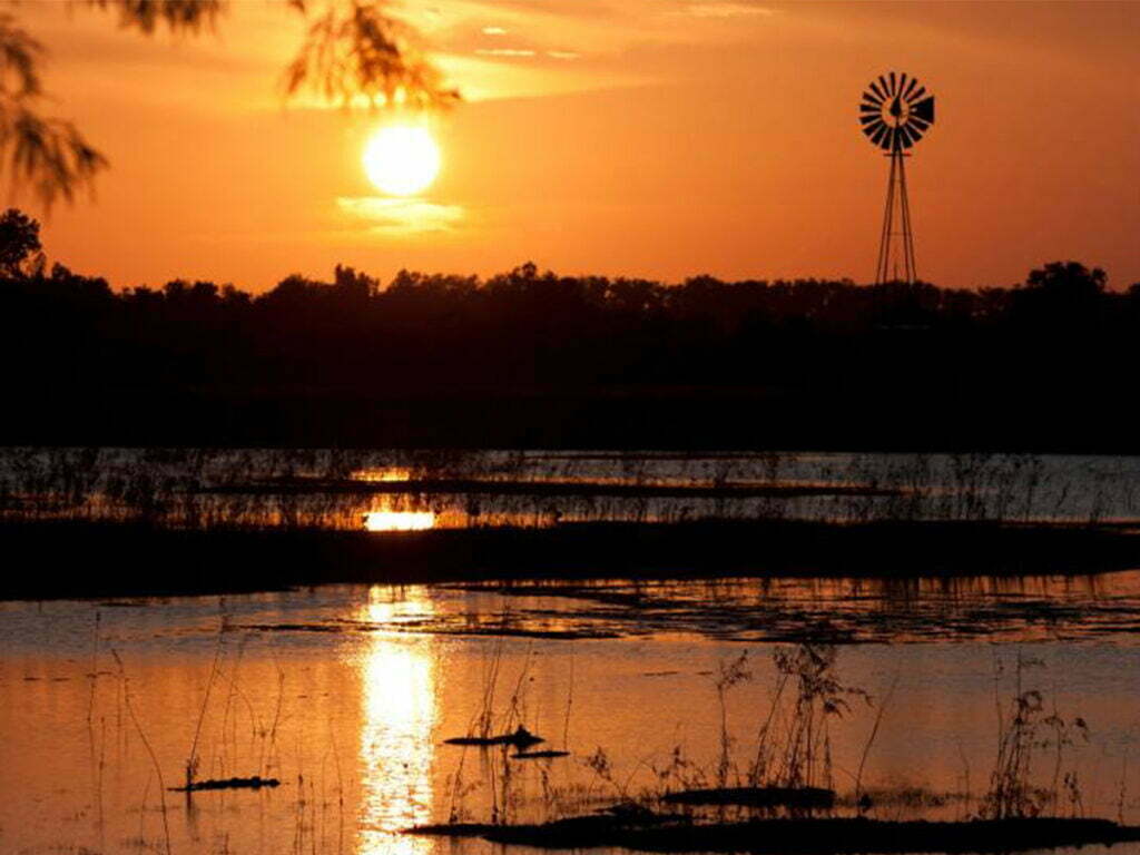 Sugar Land, TX 9 Garage Door Repair Houston TX